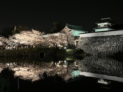 夜桜の福岡城
