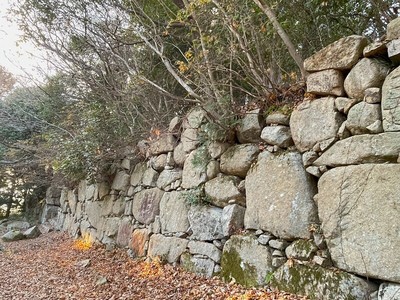 伝平井氏屋敷跡の石垣