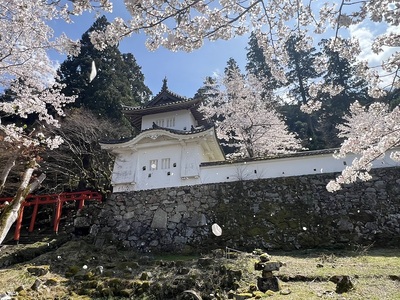 桜吹雪の東隅櫓