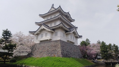 御三階櫓と桜