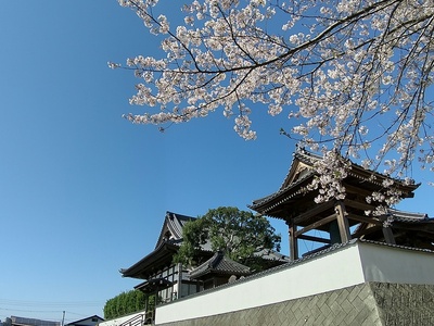 泉蔵寺は谷を見下ろす高台に有ります。