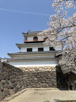 三重櫓と桜
