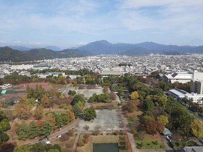 県庁から見た駿府城公園