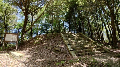天神社跡の石段(大松山城)
