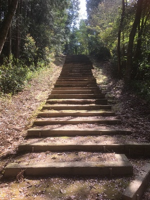 和田神社から城跡へ向かう階段