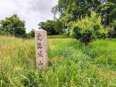 「史跡城山」の石碑