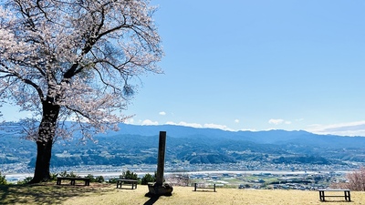 主曲輪からの眺望　桜と城址碑
