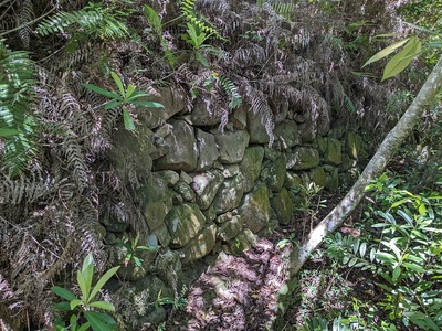 化粧池南側の石垣