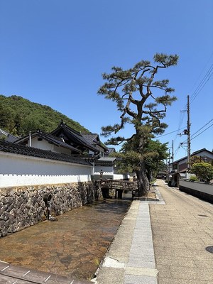 竹田寺町通り