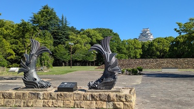 朝の鯱と大天守(城見台公園から)