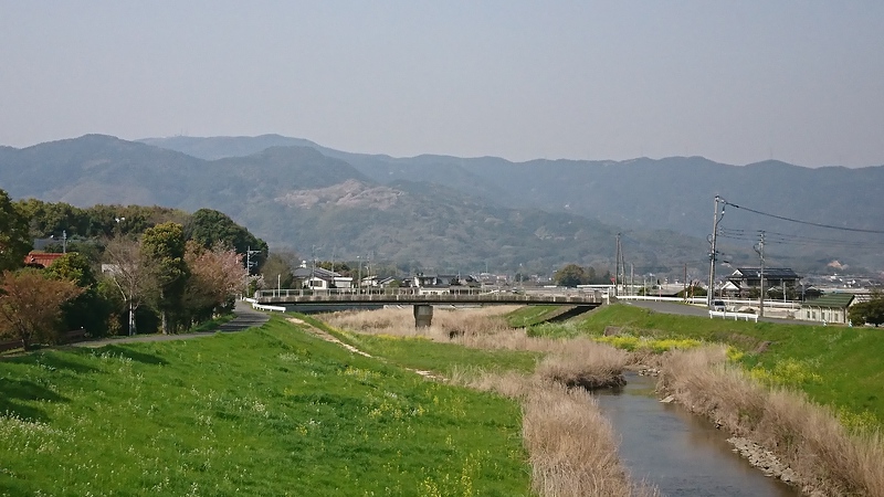 吉野ヶ里から見るサクラの山