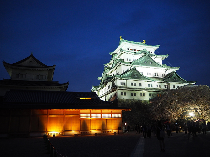 名古屋城の写真 本丸御殿と天守ライトアップ18 攻城団