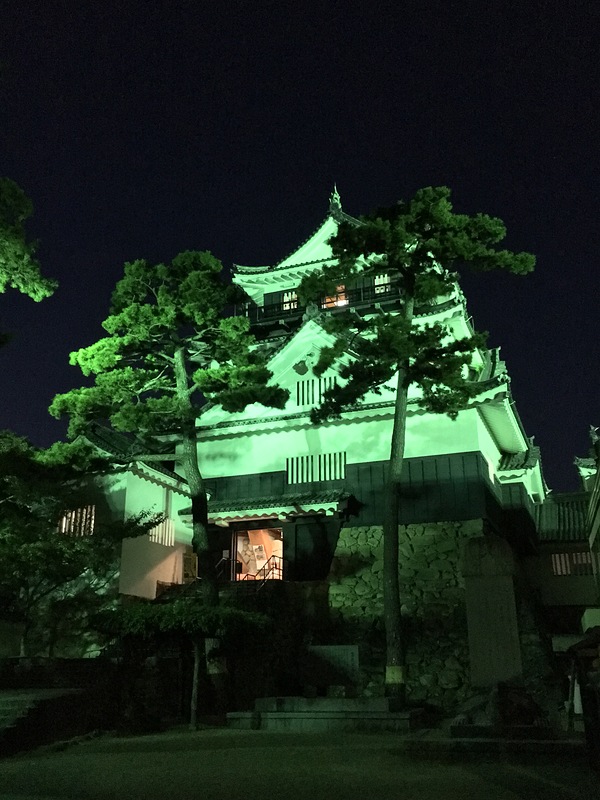 岡崎城の写真 夜の天守入口 攻城団