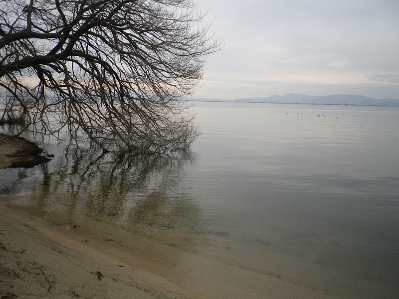 城跡のすぐそばは琵琶湖