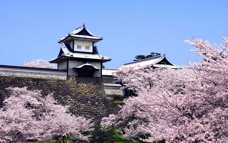 桜の時期の石川門