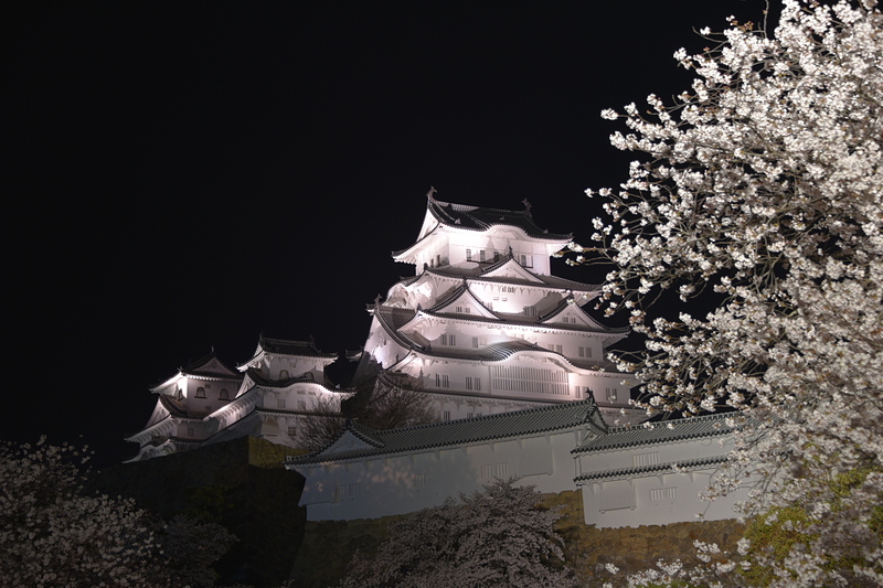 夜桜に浮かぶ姫路城