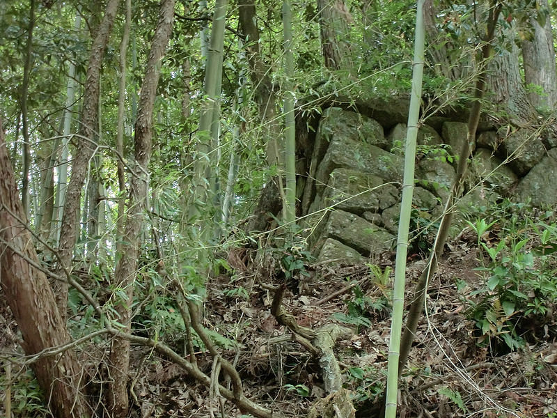 登城道の脇の藪に残された石垣