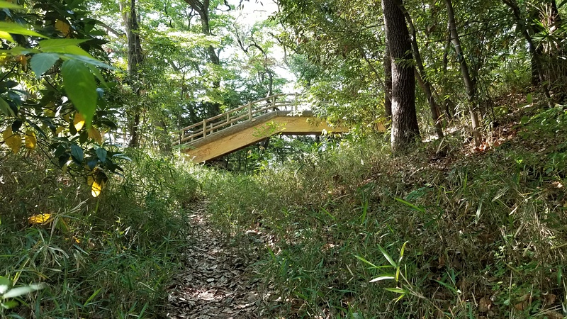 木橋と空堀