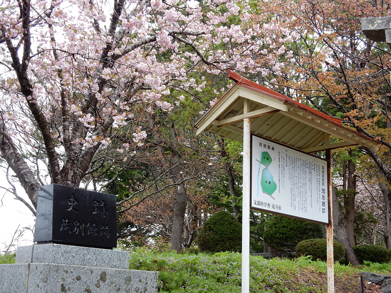 散り急ぐ桜と石碑・説明板
