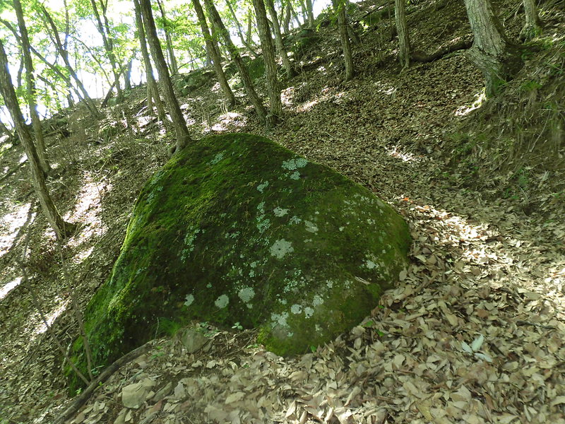 大きな丸い岩