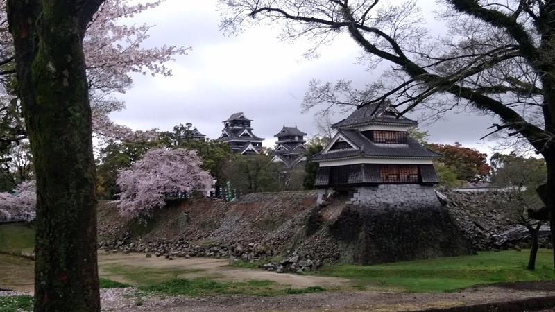 桜と熊本城