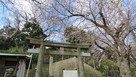 ３分咲の桜と和田義盛碑…