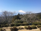 三島市と富士山…