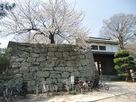 桜の岡口門