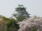 満開の桜越しの大阪城天守…