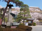 鶴と松と桜
