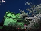 ライトアップされた天守と夜桜其の壱…