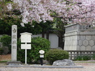 古渡城趾の碑と桜…