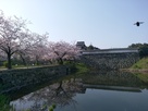 福岡城の潮見櫓と下の橋大手門…