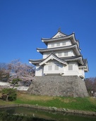 桜と御三階櫓