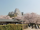姫路城桜囃子