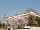 桜満艦姫路城