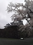 桜と大野城
