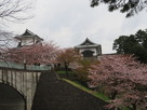 雨の中の石川門…