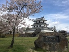 桜と三階櫓