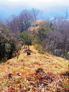 東の丸から馬場…