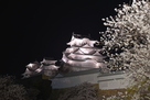 夜桜に浮かぶ姫路城…