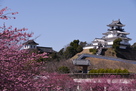 掛川城と太鼓櫓…