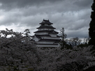 桜に浮かぶ鶴ヶ城…