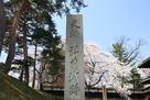 桜で晴々しい城跡の石碑…