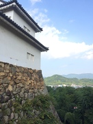 天秤櫓前から佐和山城跡を見上げる…