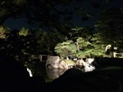 京の七夕・二の丸庭園…