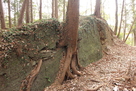 堀切の石（緑泥片岩）…