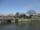 外から見た姫路城…