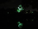 岡山城の夜景