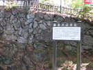 唐沢山神社